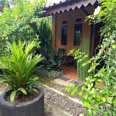 Juda Homestay بانيووانجى المظهر الخارجي الصورة