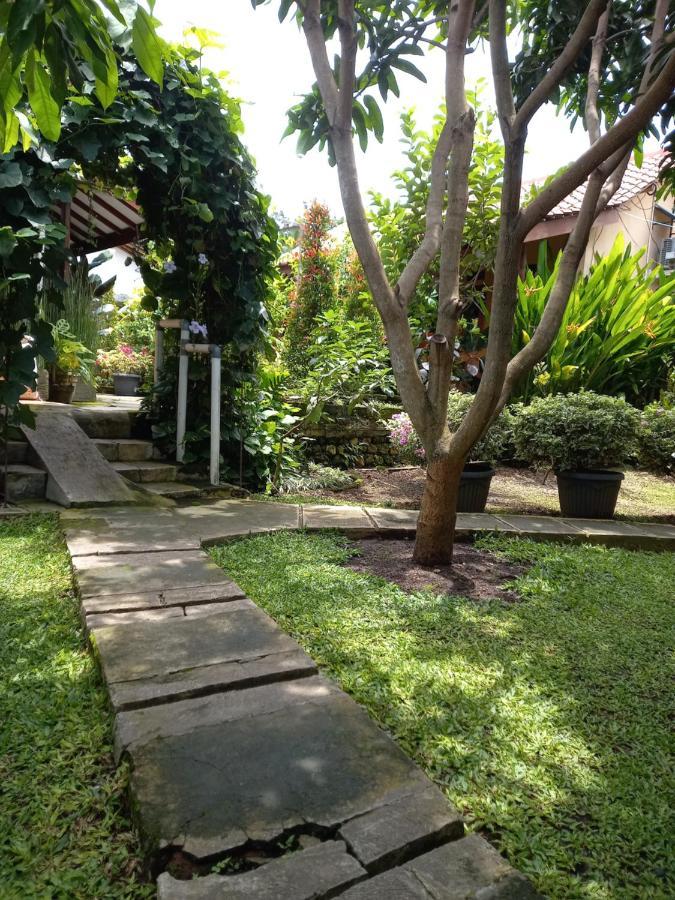 Juda Homestay بانيووانجى المظهر الخارجي الصورة