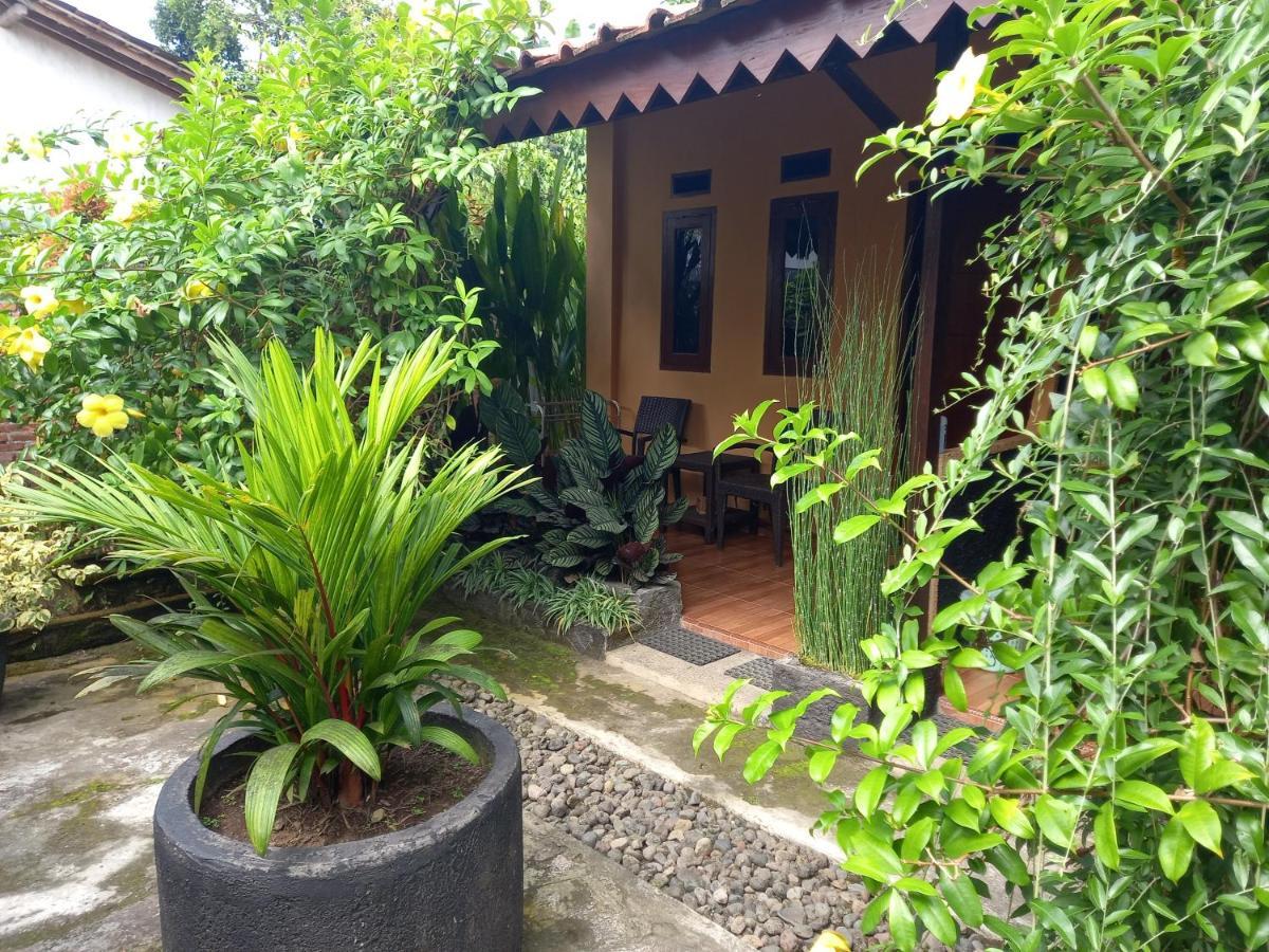 Juda Homestay بانيووانجى المظهر الخارجي الصورة