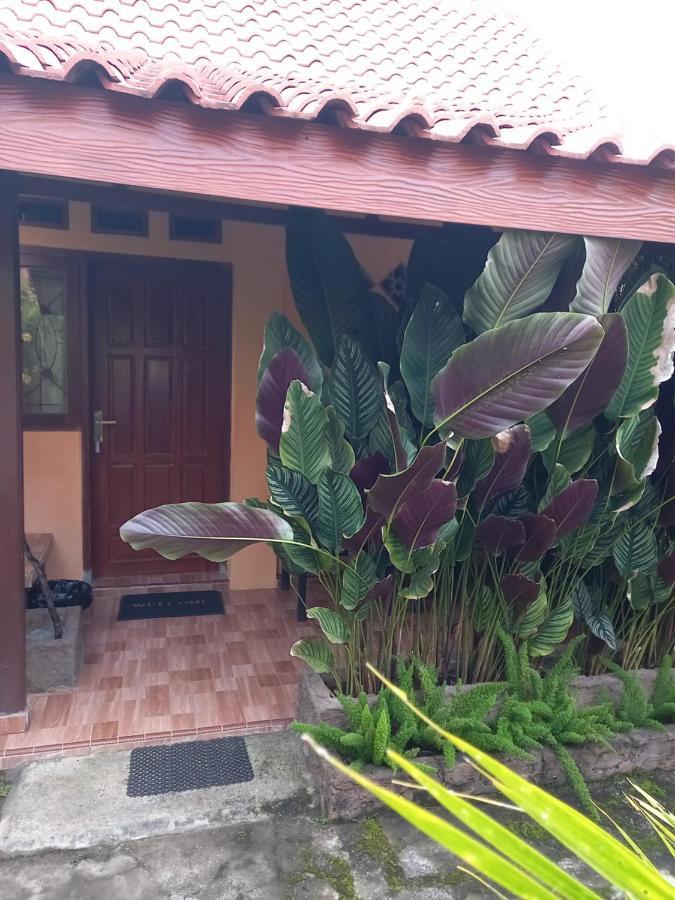 Juda Homestay بانيووانجى المظهر الخارجي الصورة